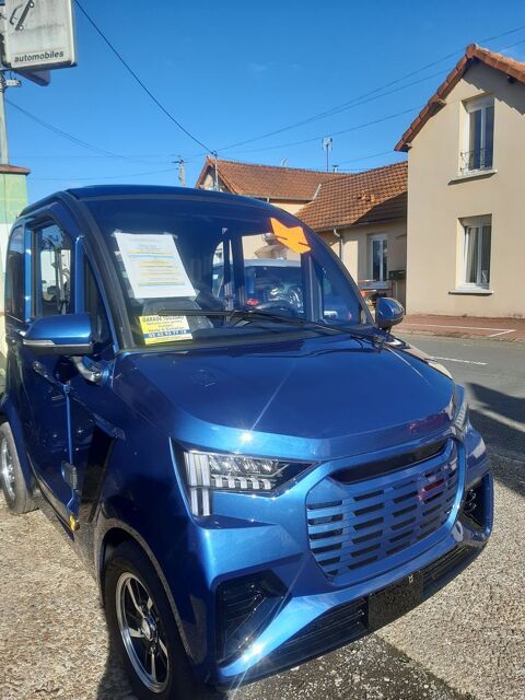 AUTRES Voiture sans permis  occasion La Fert&eacute;-Bernard 72400