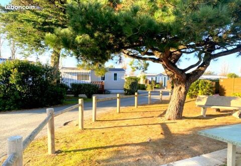 Mobil-Home Mobil-Home 2025 occasion Saint-Hilaire-de-Riez 85270