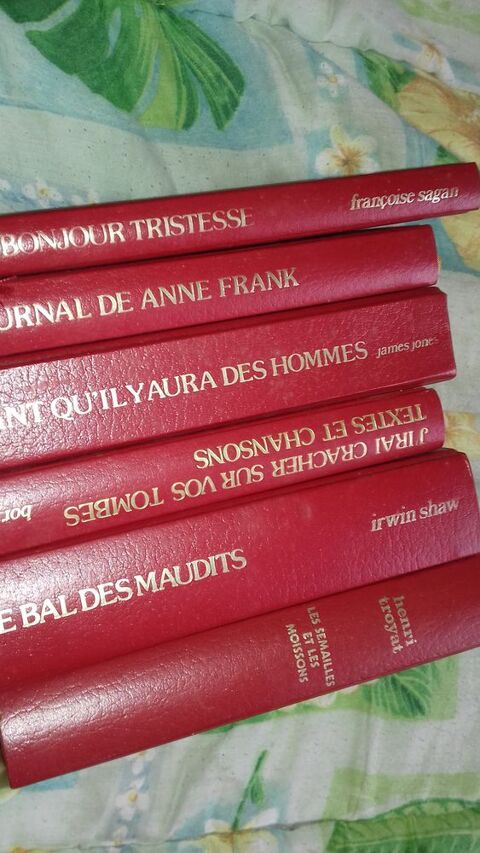 Guy Breton 15 Lamonzie-Saint-Martin (24)