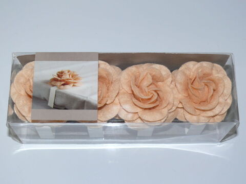 Lot de 4 pinces-nappe 4 Saintes (17)