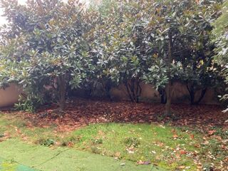  Appartement � louer 3 pi�ces 65 m�