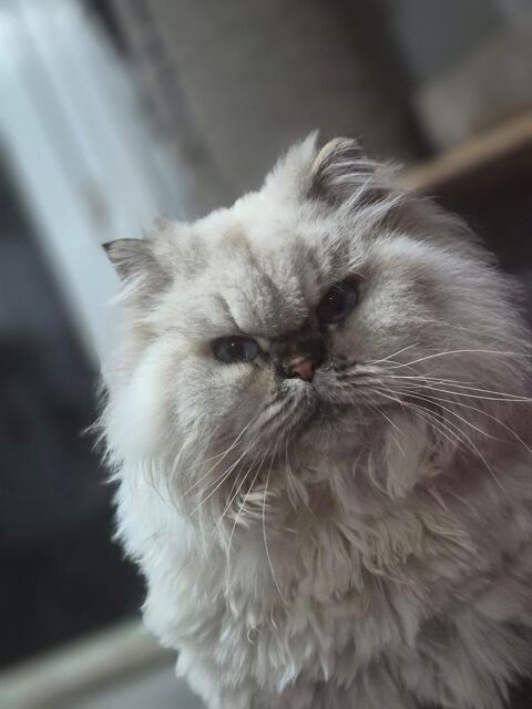 SOLENN 300 76000 Rouen