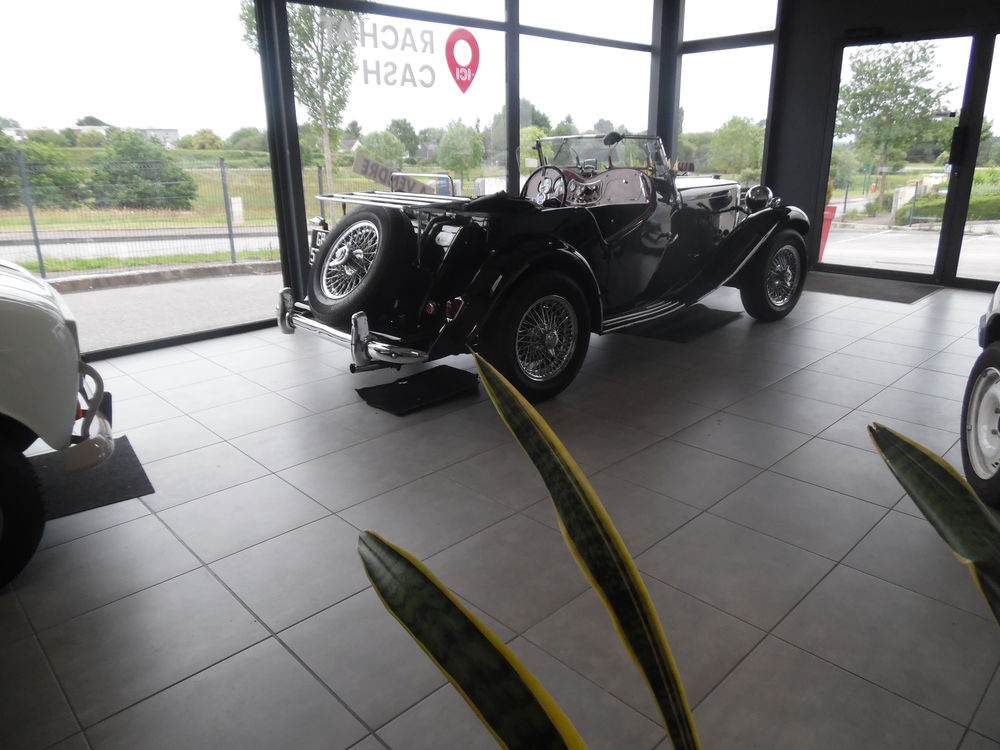 Divers MG TD 1250cm3 Ann&eacute;e 1950 7cv 4 cyl 1950 occasion 56800 Plo&euml;rmel