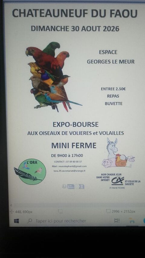 Expo-bourse aux oiseaux exotiques et volailles, 3 29520 Châteauneuf-du-faou