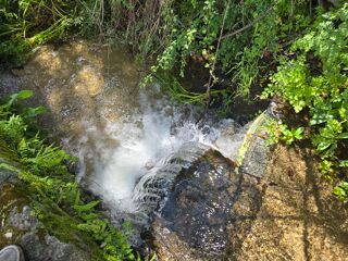  Terrain � vendre 13000 m� Soalheira, portugal