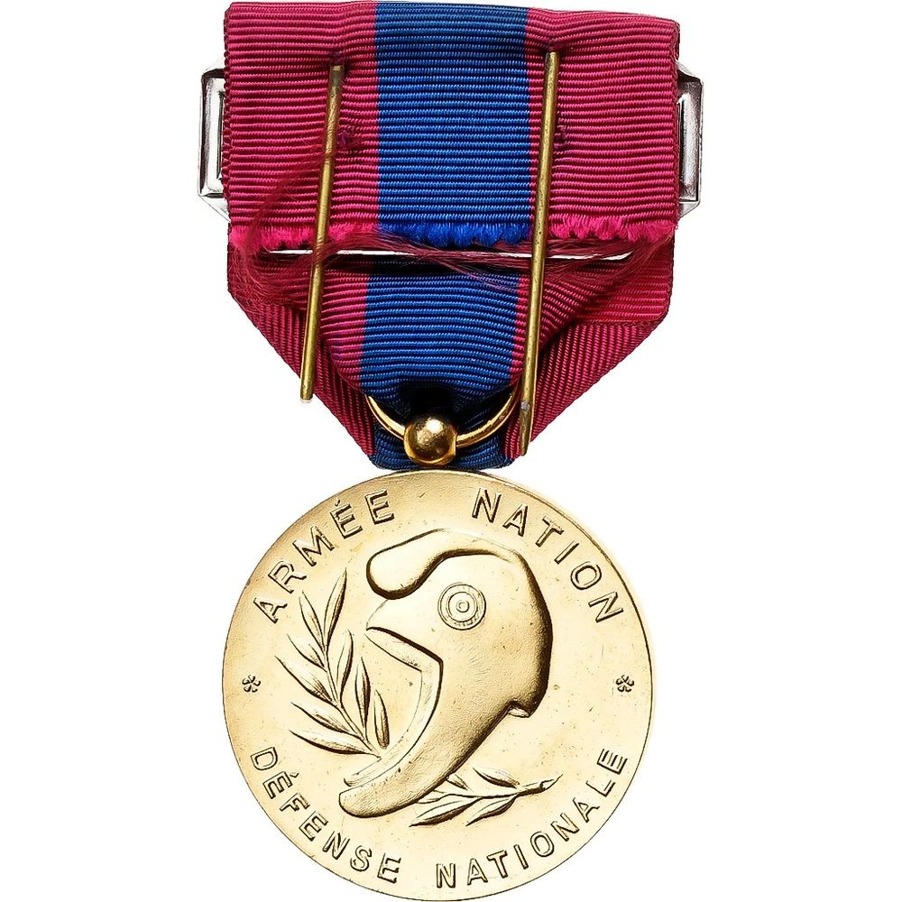 M&eacute;daille de la D&eacute;fense Nationale, Arme blind&eacute;e, 
