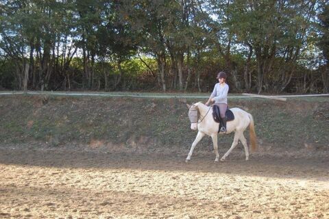 JOLIE JUMENT CREMELLO 2500 89000 Auxerre
