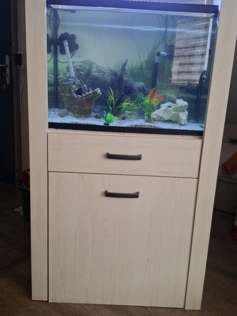 aquarium avec son meuble pompe etc.... 150 62200 Boulogne-sur-mer
