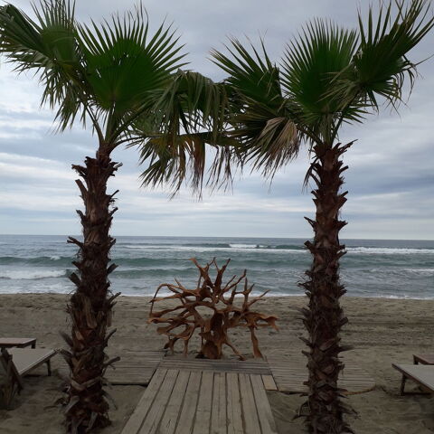  Appartement  louer 1 pice 30 m