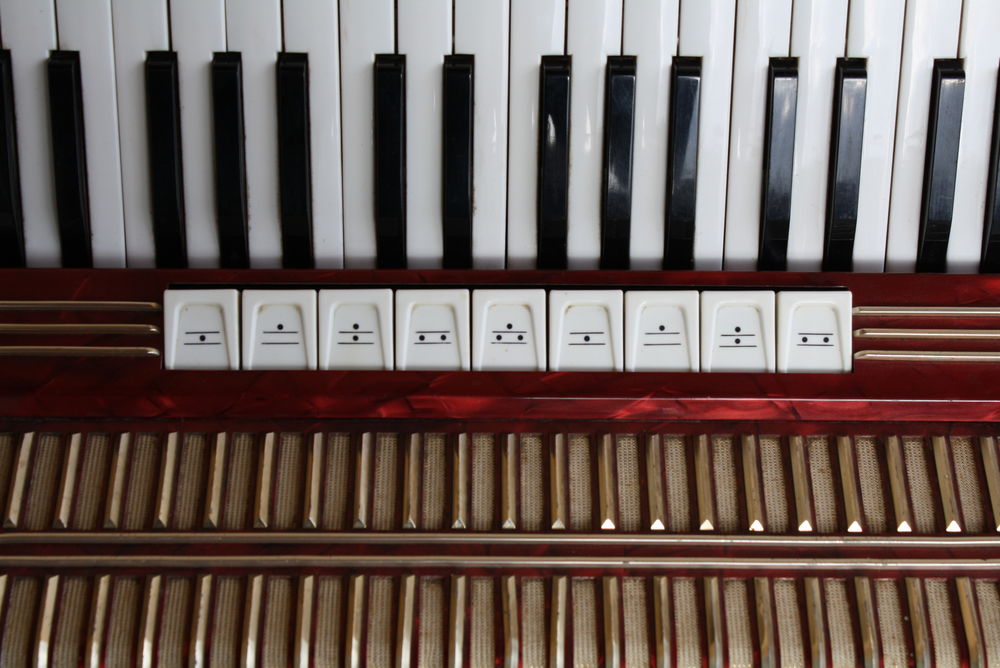Accord&eacute;on Hohner VERDI 2 - 96 basses Instruments de musique