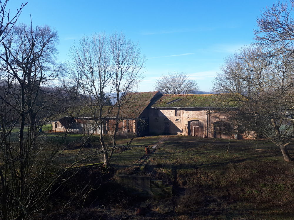 Maison 30 pièces 1163 m² à Ham-sous-Varsberg