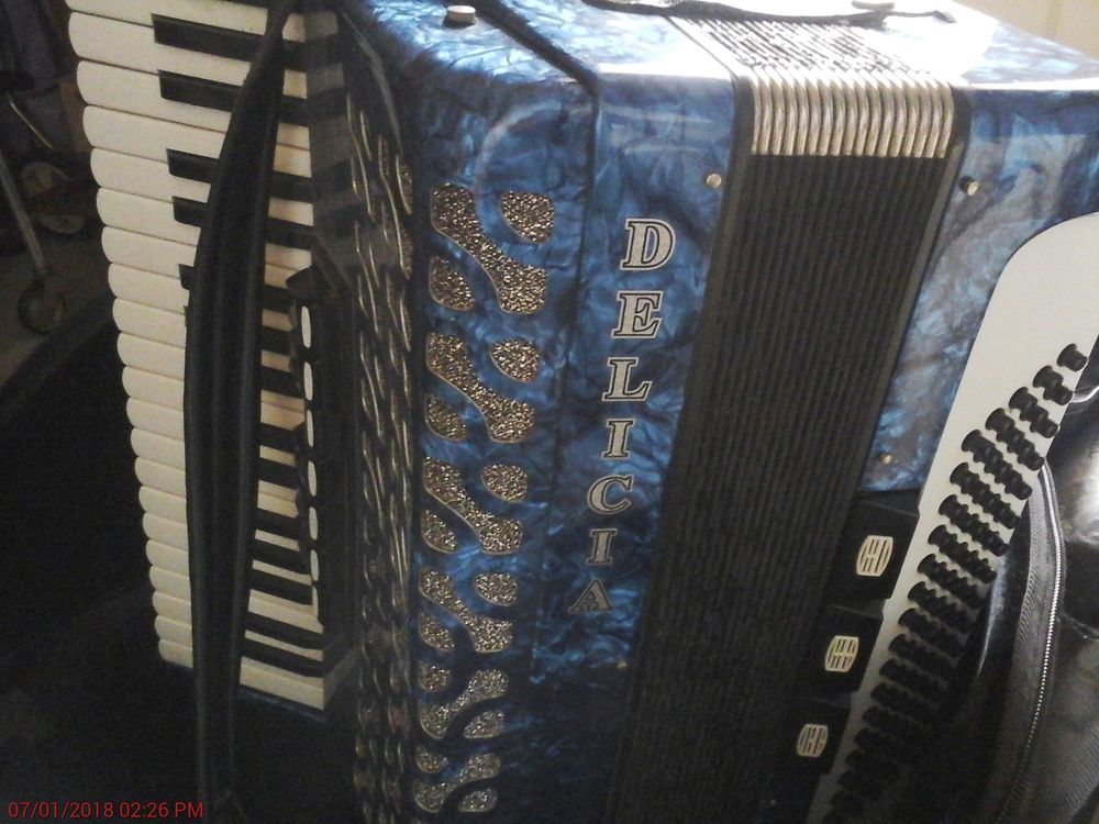 Accord&eacute;on chromatique touches boutons-piano Instruments de musique