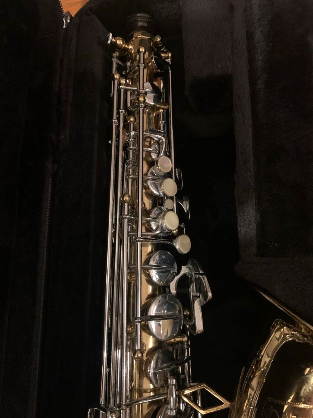 saxophone alto Dolnet Instruments de musique