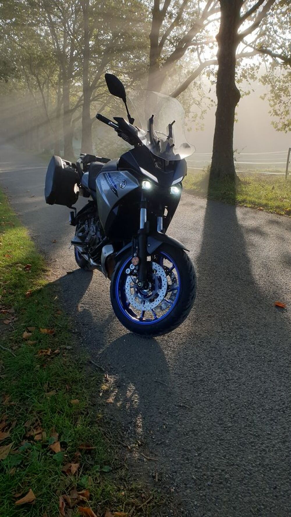 YAMAHA 2023 occasion 57100 Thionville