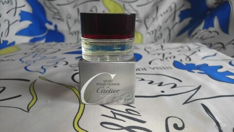 MINIATURE DE PARFUM 6 Trouy (18)