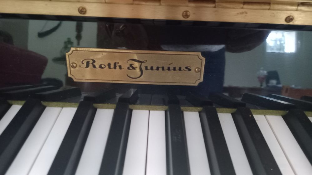 PIANO droit Roth et Julius Instruments de musique