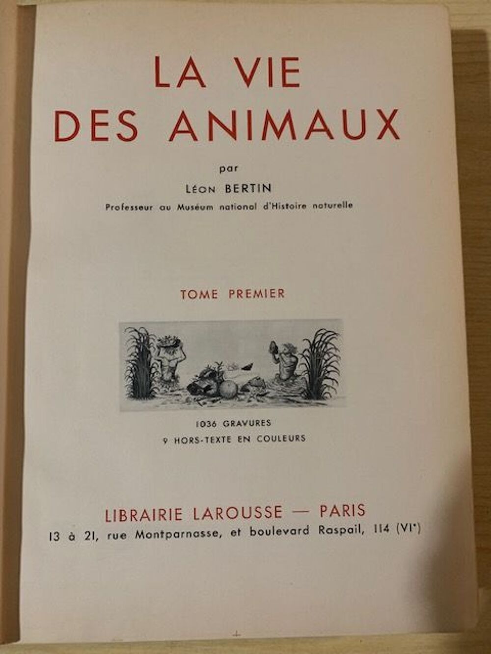 Larousse Livres et BD
