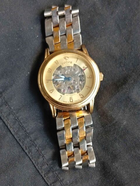 Montre automatique 40 Tarbes (65)