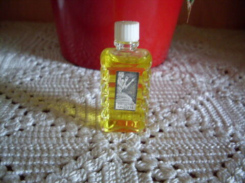 MINIATURE DE PARFUM 12 Le Relecq-Kerhuon (29)