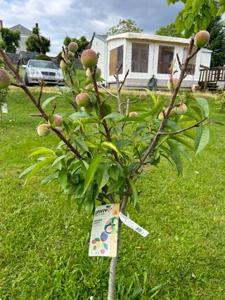  Terrain � vendre 1075 m�