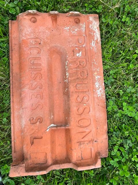 Tuiles plates Perrusson Ecuisses S&L 4 Fours (58)