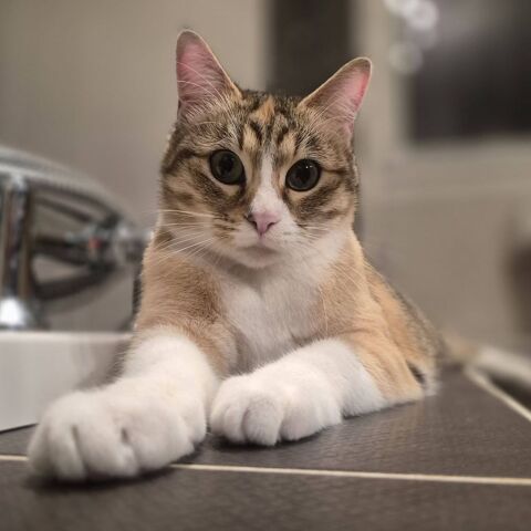 SARAH 180 26240 Ponsas