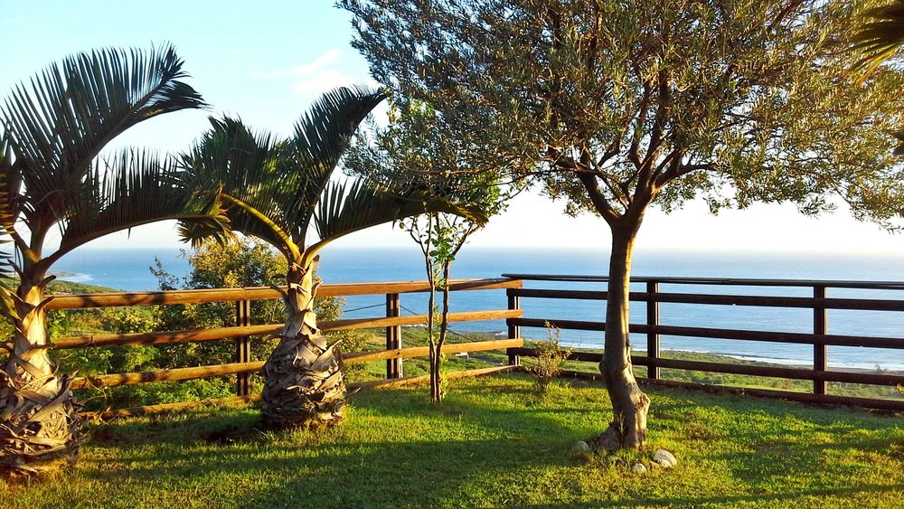  LA MAISON ZEN - saisonnière - Ouest de La Réunion DOM-TOM, Saint-Leu (97424)