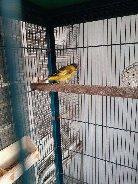 Tarin magellan. 70 12100 Millau