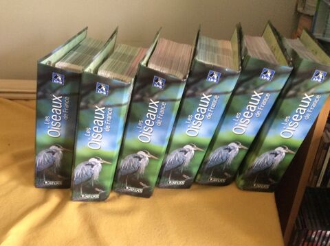 Oiseaux de France 90 Les crennes (77)