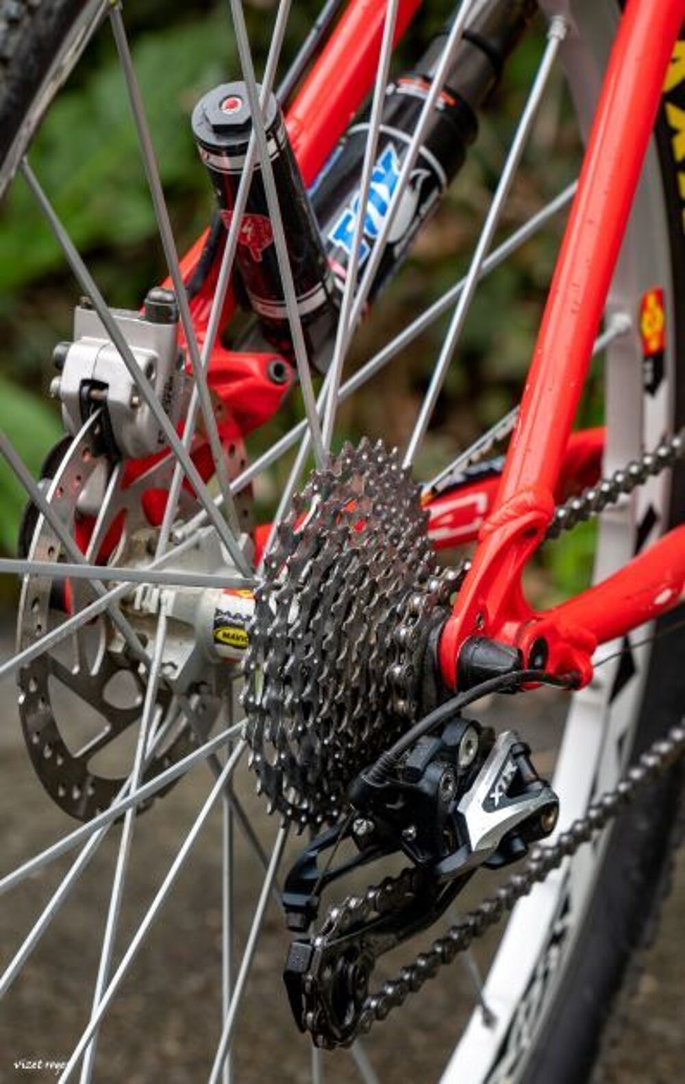 VTT Specialized pouces Vélos