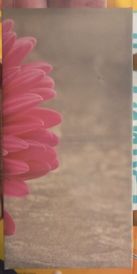 TABLEAU FLEUR ROSE EN  DCOUPE 5 Grasse (06)