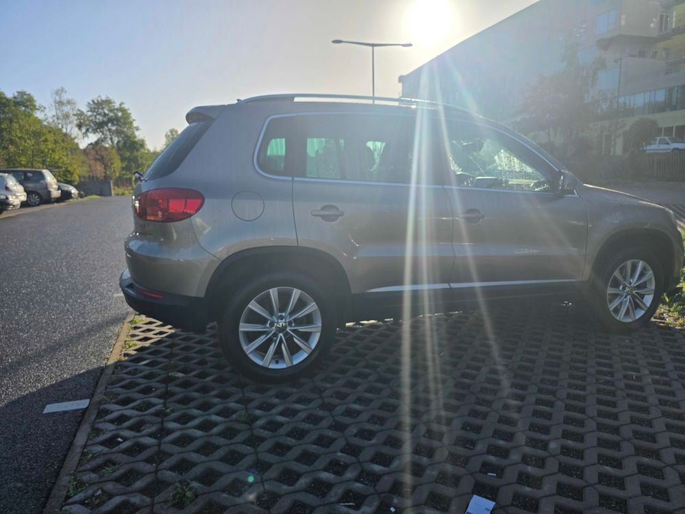 Tiguan 1.4 TSI 150 Bluemotion Technology 2012 occasion 77420 Champs-sur-Marne