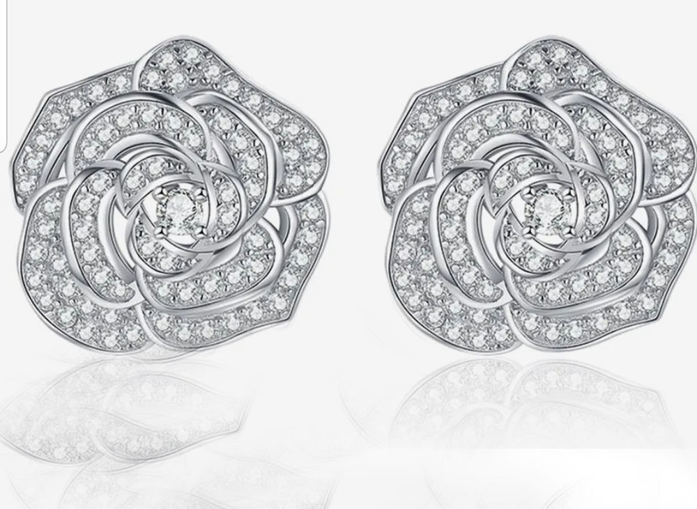 Boucles d'oreilles en argent 925 en diamant Bijoux et montres