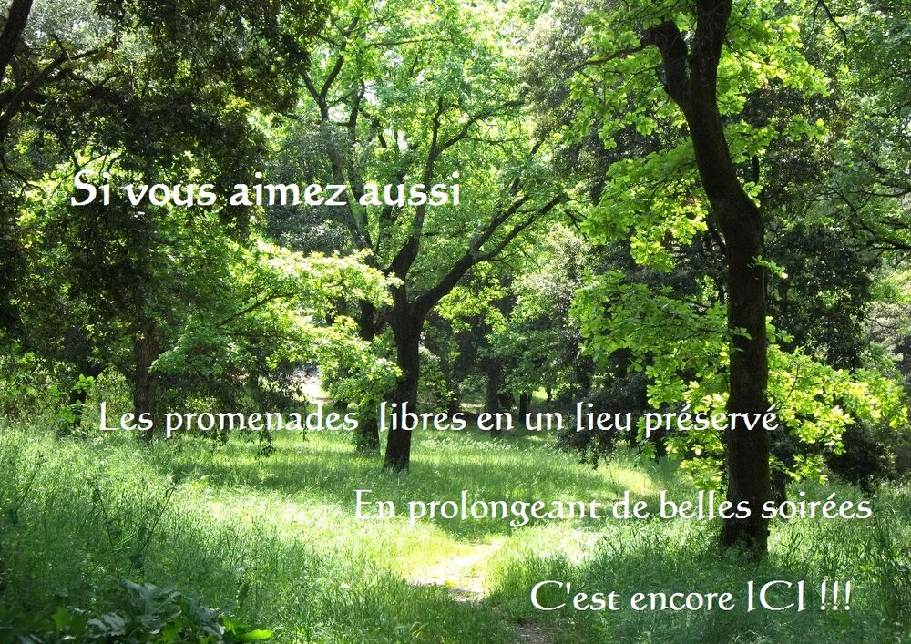 Vente Maison Un petit nid paisible et protégé Grasse