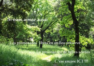  Maison à vendre 2/3 pièces 48 m²