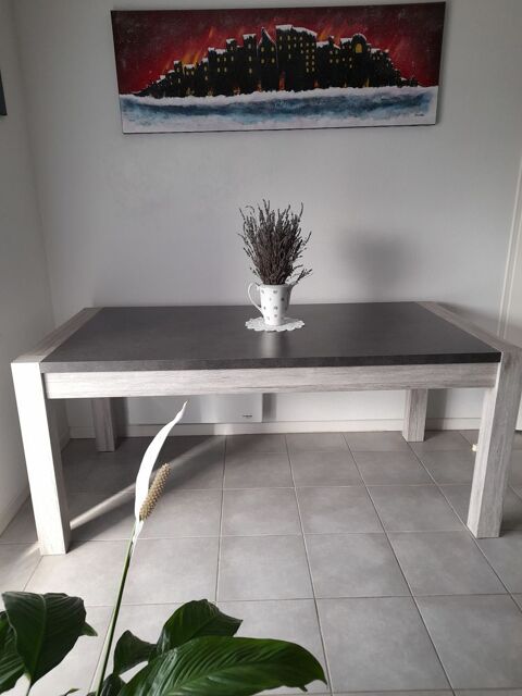 Table moderne 40 Mussidan (24)