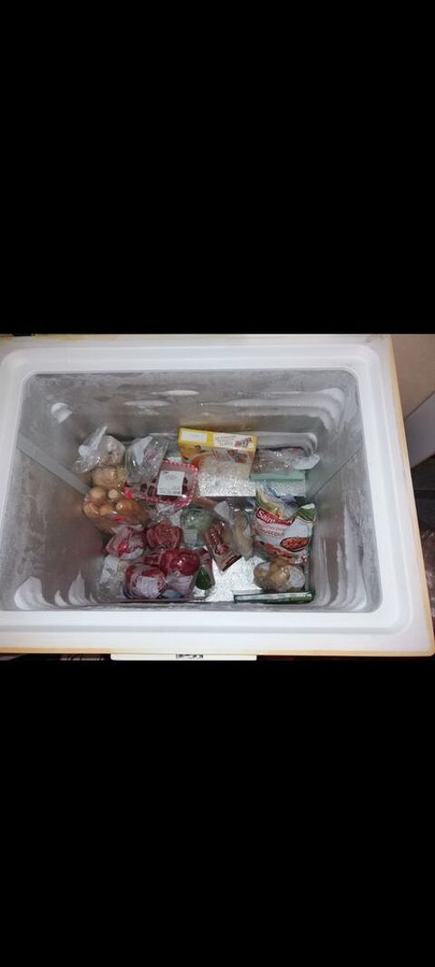 Cong�lateur coffre 1 Verlinghem (59)