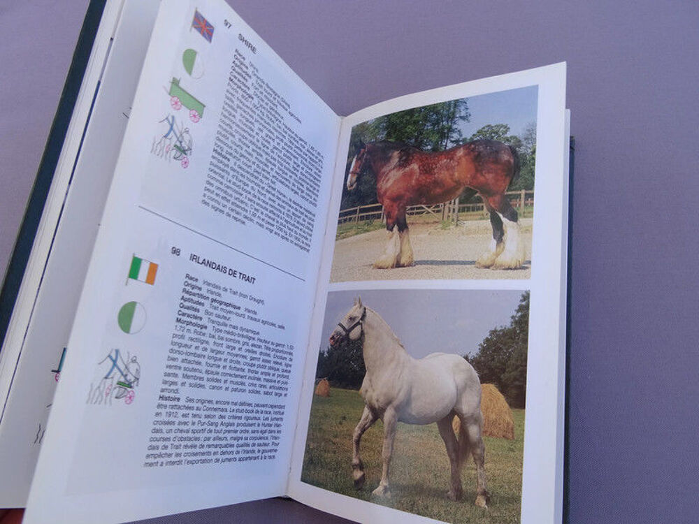 Guide Vert - Les chevaux Livres et BD