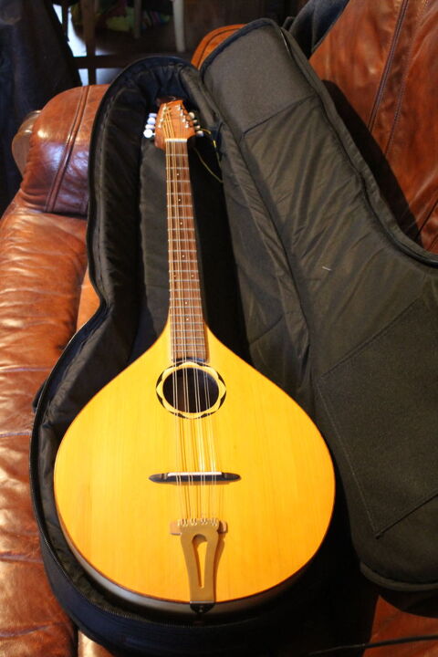 bouzouki irlandais 890 Pontcirq (46)