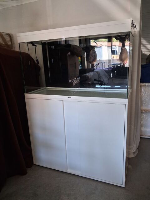 aquarium 300 31240 L'union