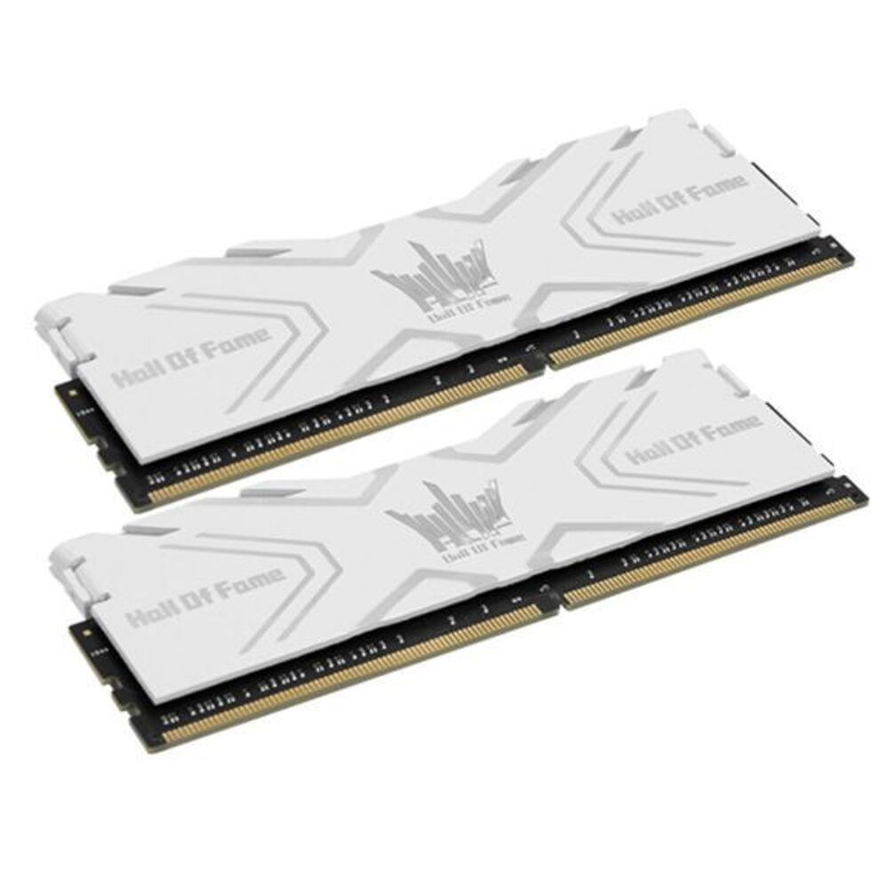 HOF DDR4-3200Mhz 16Go DDR4 Class 14 kit 2x 8 Go Matériel informatique