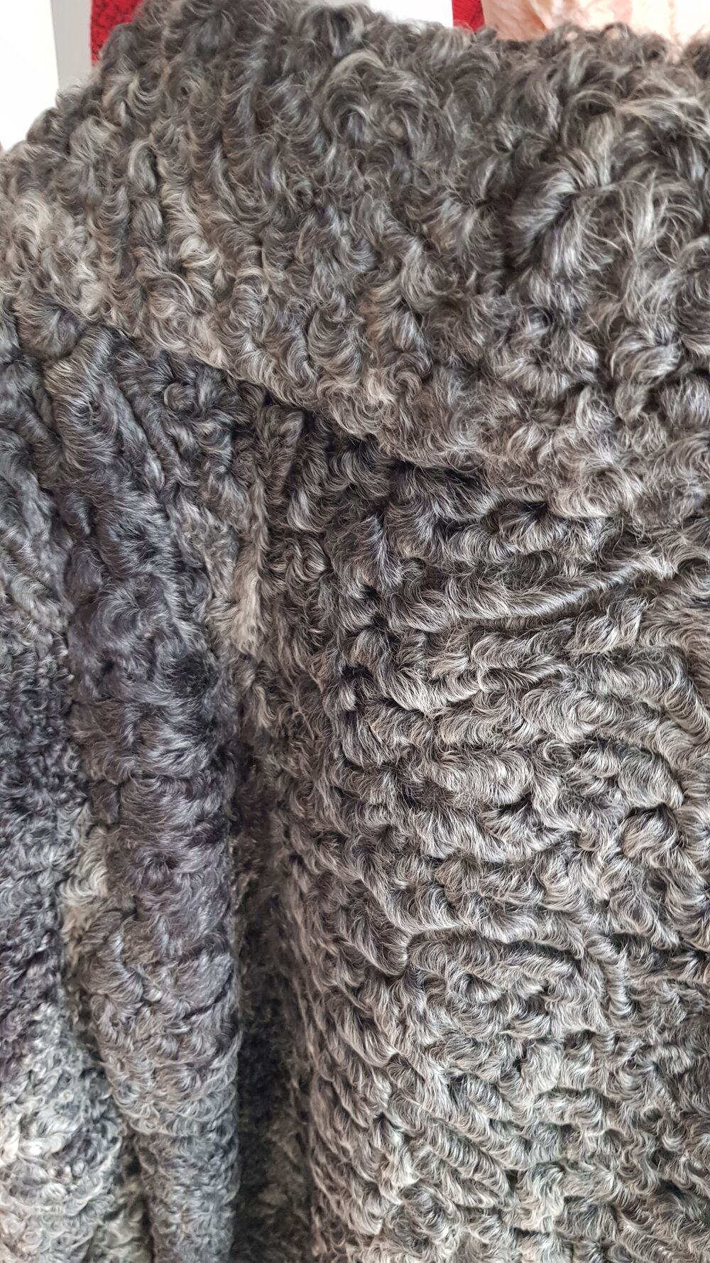 Veste trois quart en astragan Vêtements