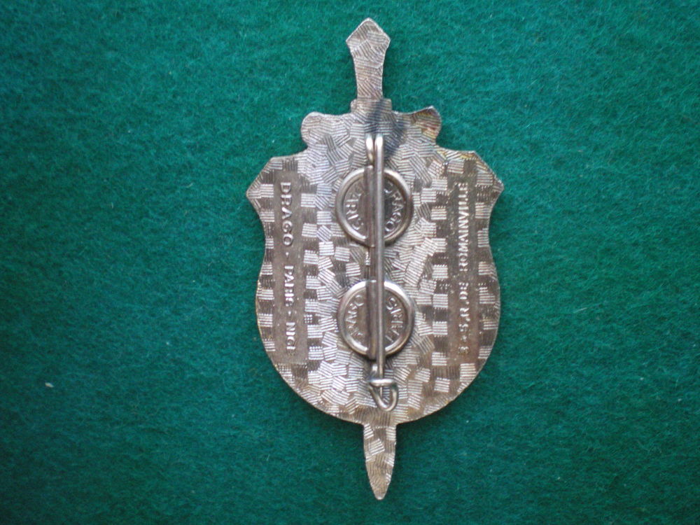 Insigne colonial - 602&deg; Partisans. 