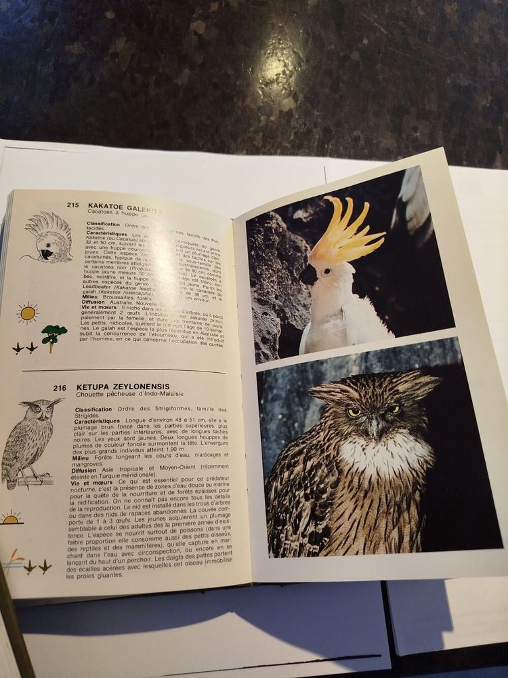 LES OISEAUX Livres et BD