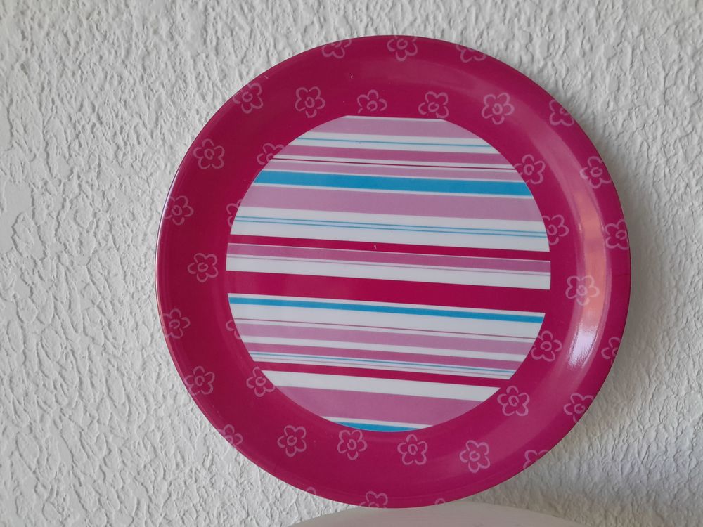 10 assittes pique-nique 27 cm 
Cuisine