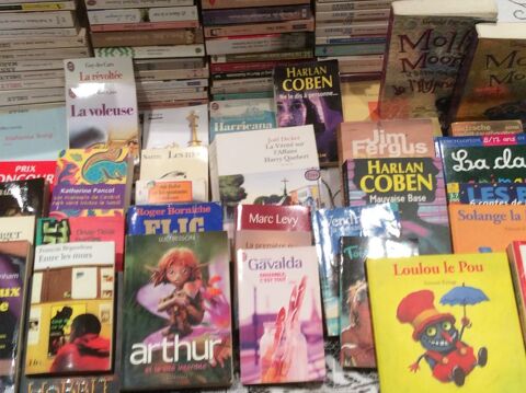 lot de nombreux (+200)livres romans scfiction policier jeune 15 Cachan (94)