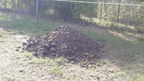 Crottin de cheval 4 Saint-Didier-de-Formans (01)