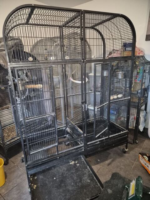 Cage perroquet a vendte . 1 38560 Champ-sur-drac