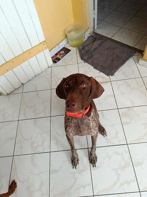 Kiara, je suis tr&egrave;s sage 350 51000 Ch�lons-en-champagne