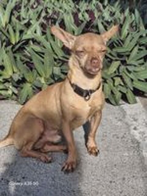   COCO attend sa famille pour la vie 